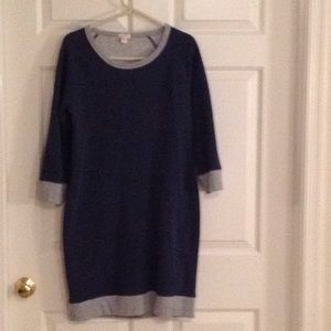 J.Crew sweatshirt dress